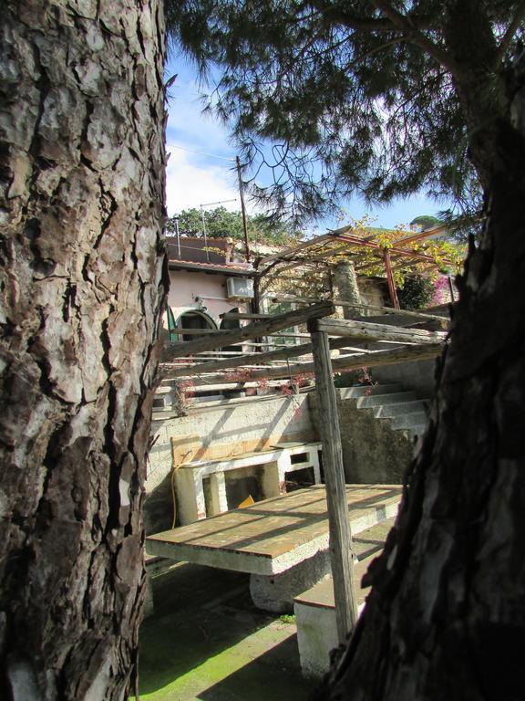 Rifugio Dei Tre Pini Guest House คาสเตลโมลา ภายนอก รูปภาพ
